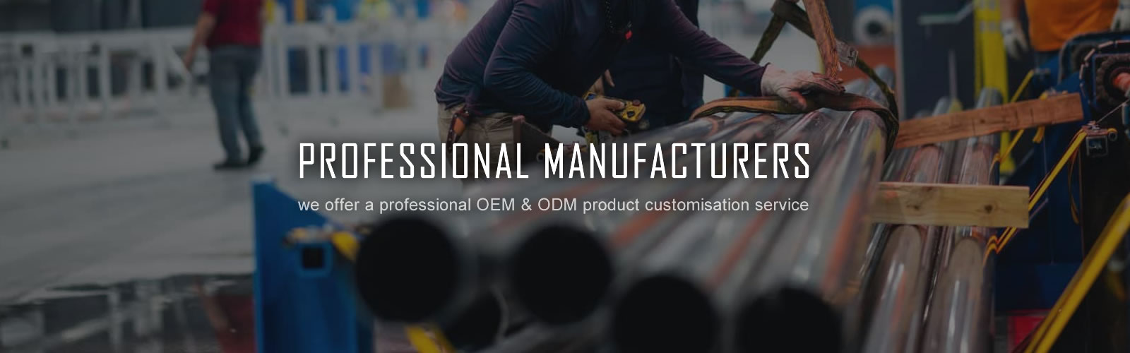 Professional manufacturers