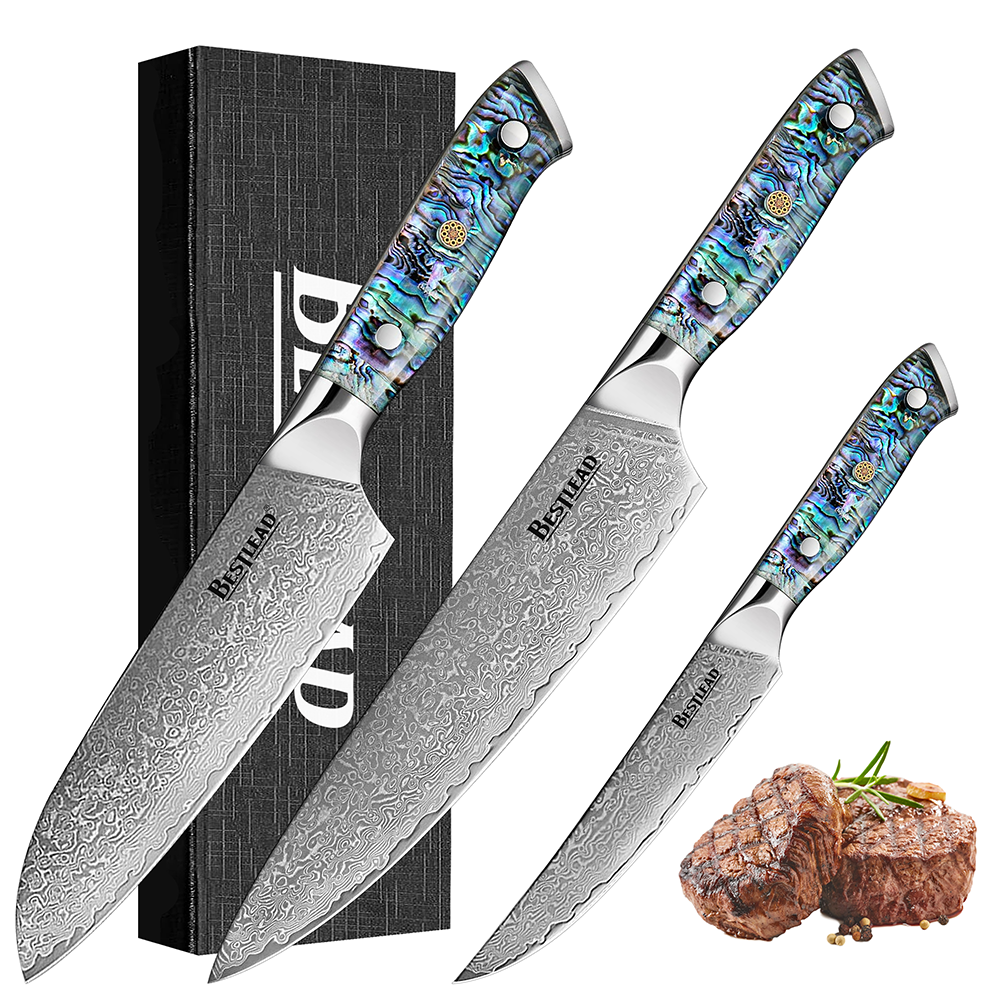 HB-52 Deep Sea Abalone Shell Handle Santoku Knife Chef’s Knife Set – 67 Layer Japanese VG10 Forged Steel Blade with Chamfered Handle