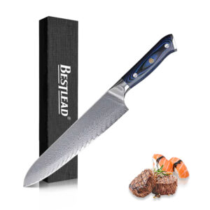 HB-10-CSD  Wholesale 67 Ply Damascus Steel Premium Chef's Knife Belt G10 Fiberglass Handle