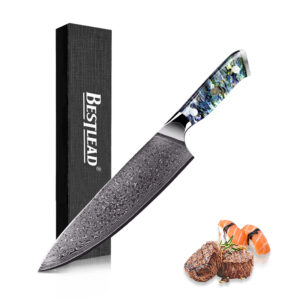 HB-12-CSD   Factory Made Chef's Knife Abalone Shell Handle Kitchen Knife