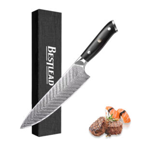 HB-2 Free Custom Logo Fish Bone Damascus 8 inch chefs kitchen knife vg10 67 layers damascus steel with G10 Handle