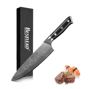 HB-8-CSD  Hot Sale Japan 67 Layer VG10 Damascus Steel G10 Fiberglass Handle Kitchen Knife Chef Knife