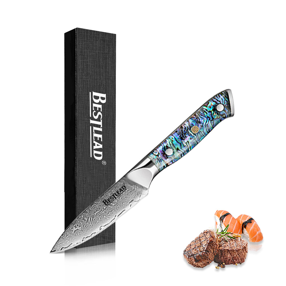 HB-50 BESTLEAD® Damascus Steel Fruit Knife with Deep Sea Abalone Shell Handle – 67-Layer Japanese VG10 Forged Steel Blade with Chamfered Handle